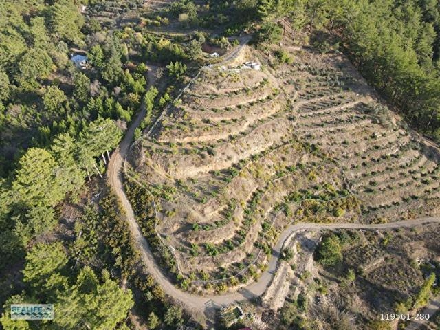 Alanya, Antalya içerisinde satılık mülk