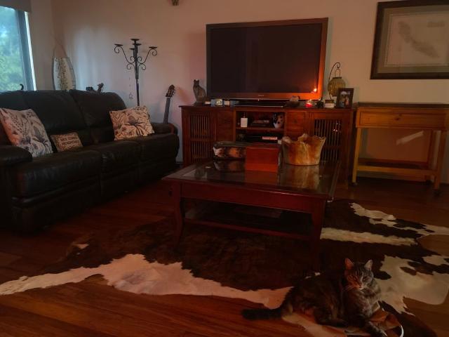 Room for rent in Camerons Creek, Victoria