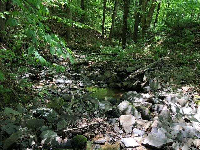 Property for sale in Bainbridge, New York