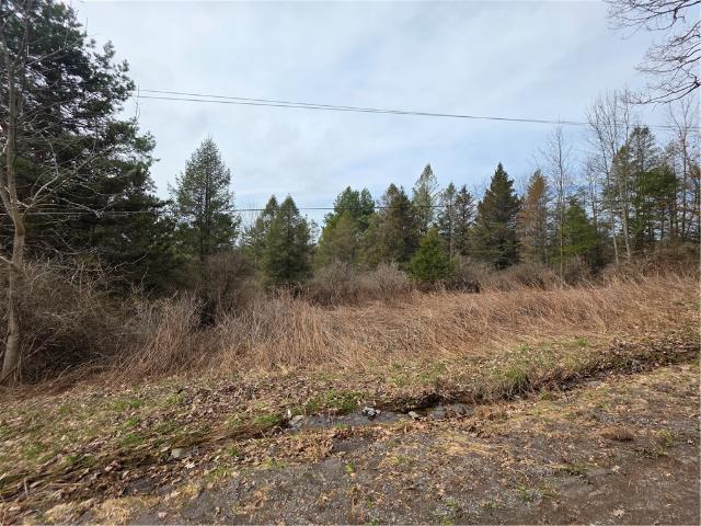 Land for sale in Bainbridge, New York