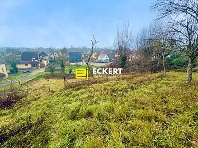 Terrain vente à Dinsheim-sur-Bruche, Collectivité européenne d'Alsace