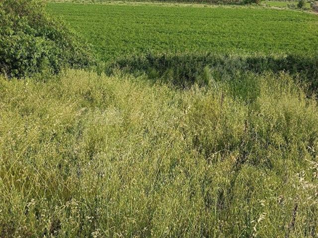 Salihli, Manisa içerisinde satılık mülk
