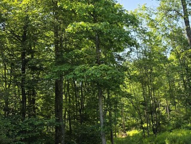 Land for sale in Pennsylvania