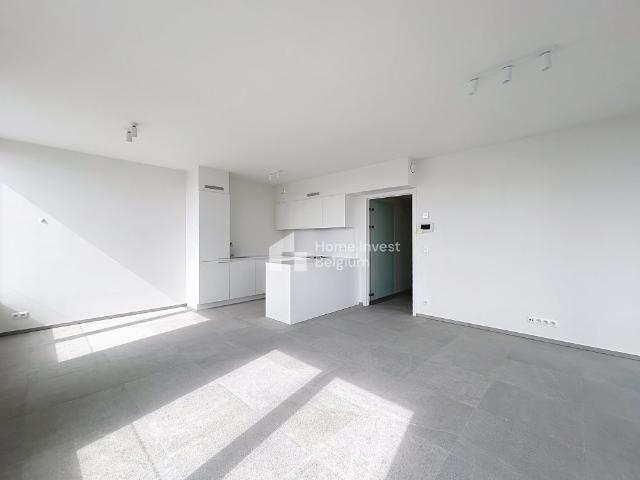 Appartement location à Anderlecht, Bruxelles