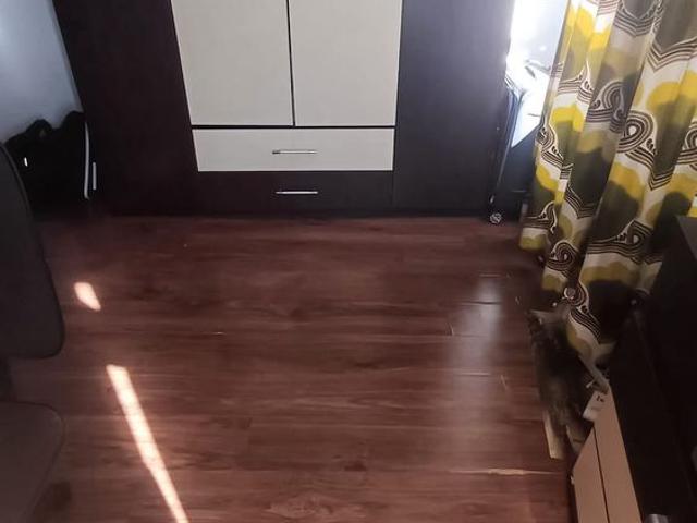 Garsonieră închirieri în Sector 3, București