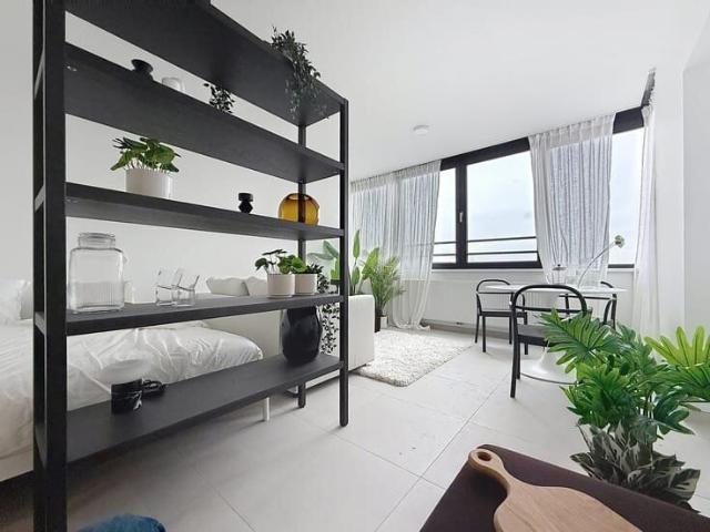 Kot location à Jette, Brussel-Hoofdstad - Bruxelles-Capitale