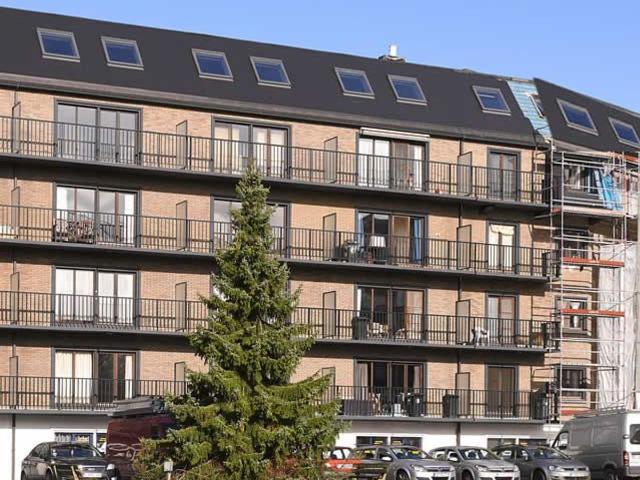 Kot location à Audenarde, Oost-Vlaanderen