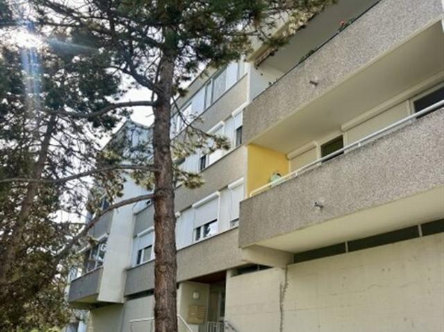 Terrassenwohnung kaufen in Bad Vöslau, Niederösterreich
