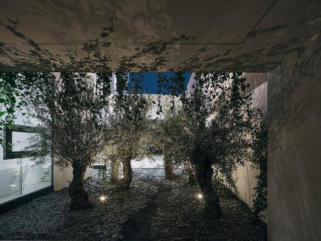 Haus kaufen in Oggau, Burgenland