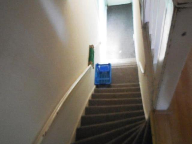 Kamer te huur in Scheveningen, Den Haag