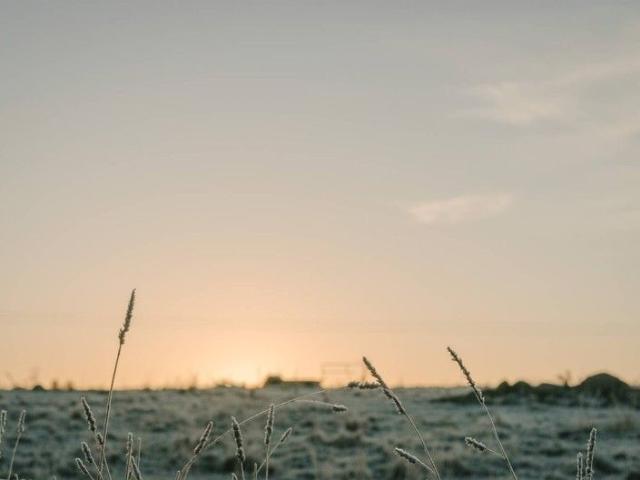 Land for sale in Murrumbateman, New South Wales