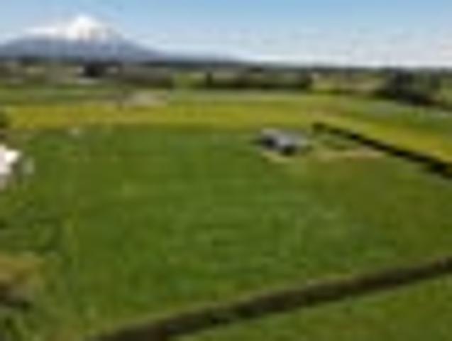Land for sale in Stratford, Stratford District