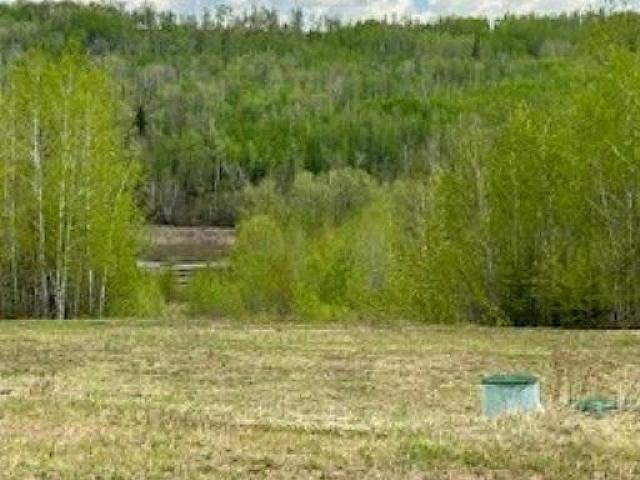 Land for sale in Wedgewood, Alberta