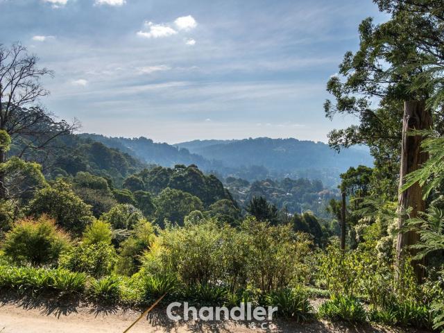 Property for sale in Camerons Creek, Victoria