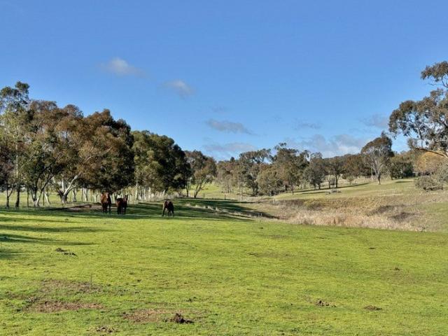 Land for sale in Maimuru, New South Wales