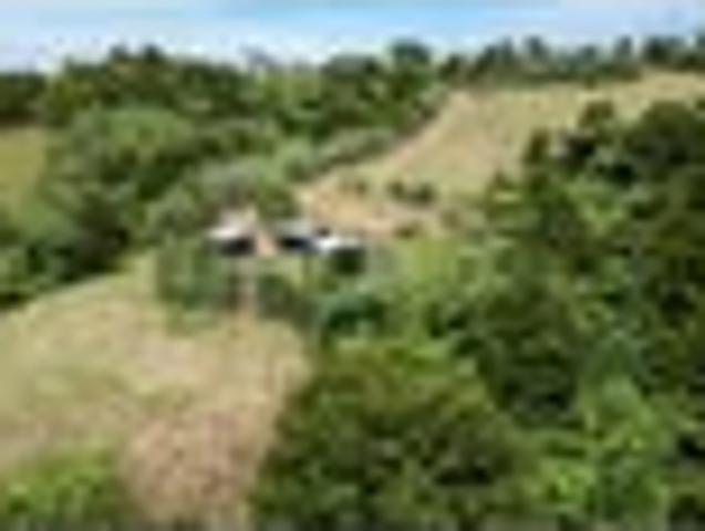 Land for sale in Northland