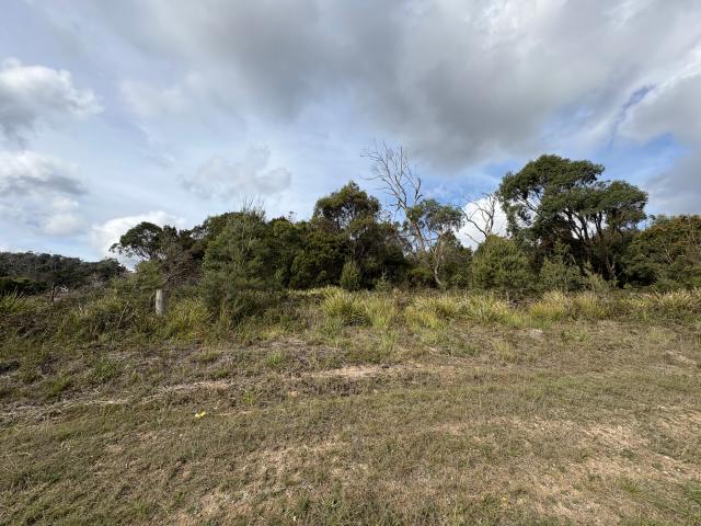 Property for sale in Bridport, Tasmania