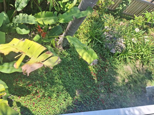 House for sale in North Mackay, Queensland