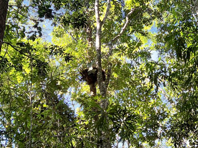 Property for sale in Tablelands, Queensland