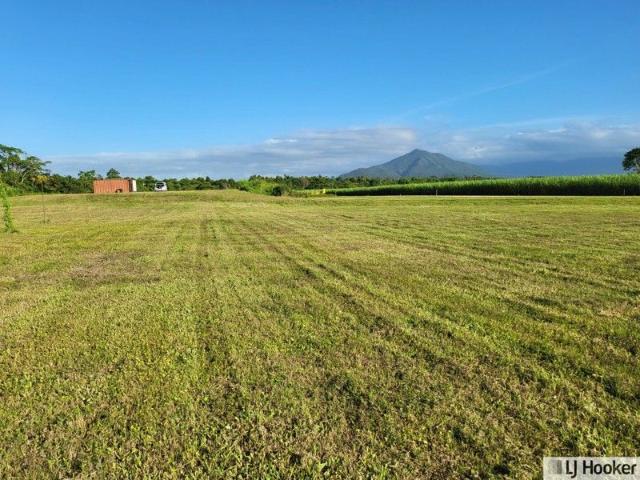 Land for sale in Silky Oak, Queensland