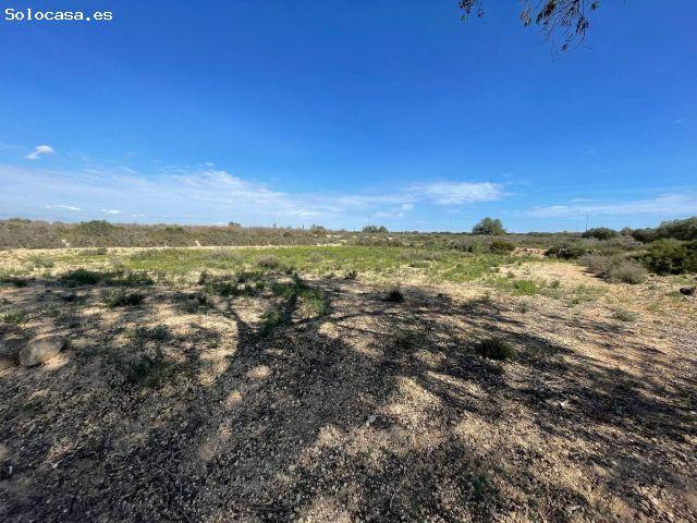 Local Comercial en venta en la Marina, el Baix Vinalopó