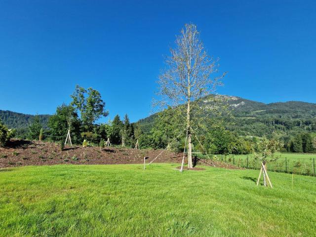 Apartment mieten in Salzburg