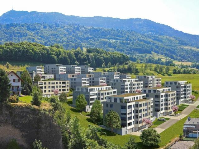 Atelier mieten in Küssnacht am Rigi, Schwyz