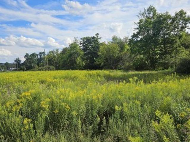 Land for sale in Benton, Columbia County