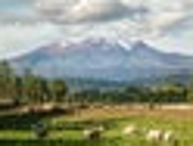 House for sale in Raetihi, Ruapehu District