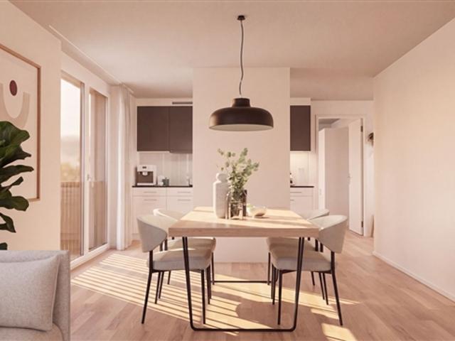 Wohnung mieten in Solothurn