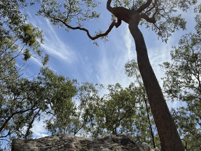 Property for sale in New South Wales
