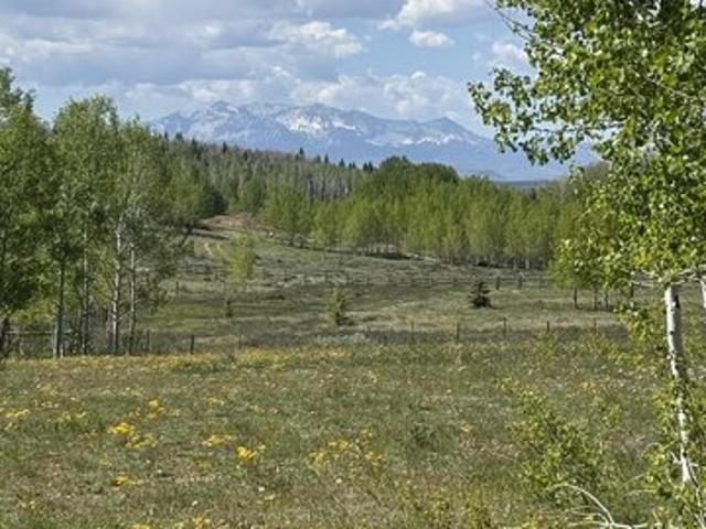 Land for sale in Montrose, Colorado