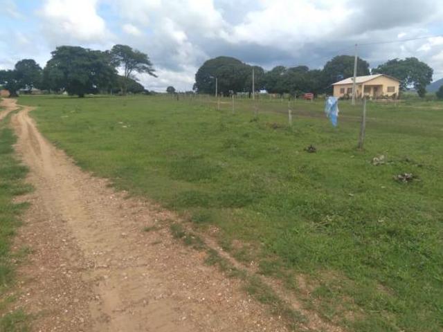 Sítio e chácara venda em Região Geográfica Imediata de Posse-Campos Belos, Divinópolis de Goiás