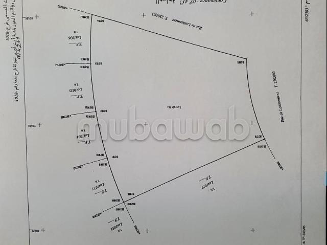 Terrain vente à Al Haouz, L'Oriental