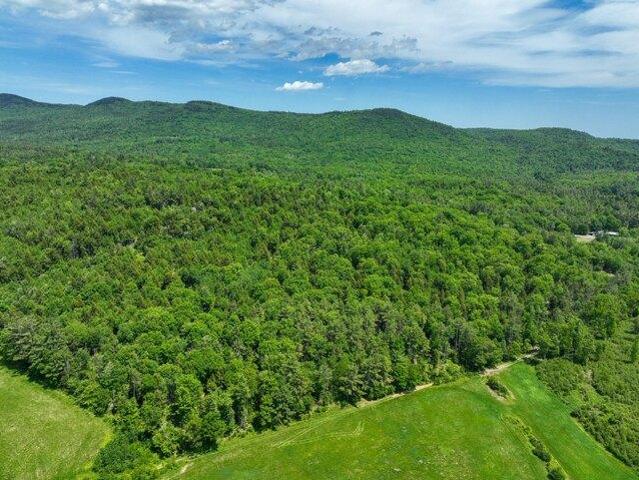 Land for sale in Dixfield, Maine