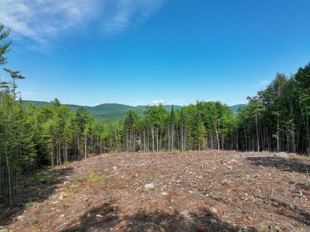 Land for sale in Dixfield, Maine