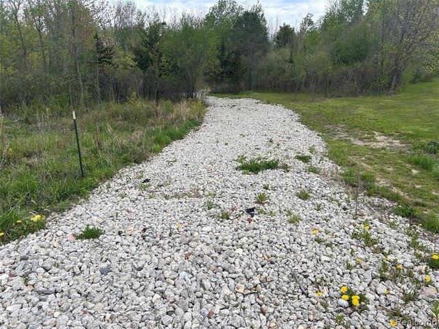 Land for sale in Birch Run, Michigan