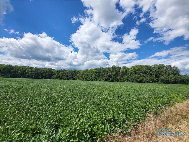 Farm for sale in Cygnet, Ohio