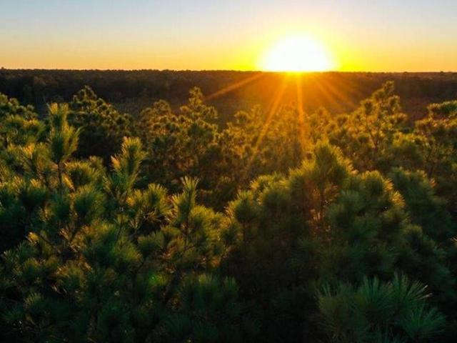 Land for sale in Morehouse, Louisiana