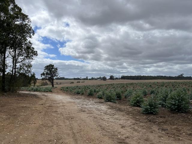 Cottage for sale in Manjimup, Western Australia