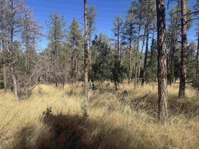 Land for sale in Timberon, New Mexico