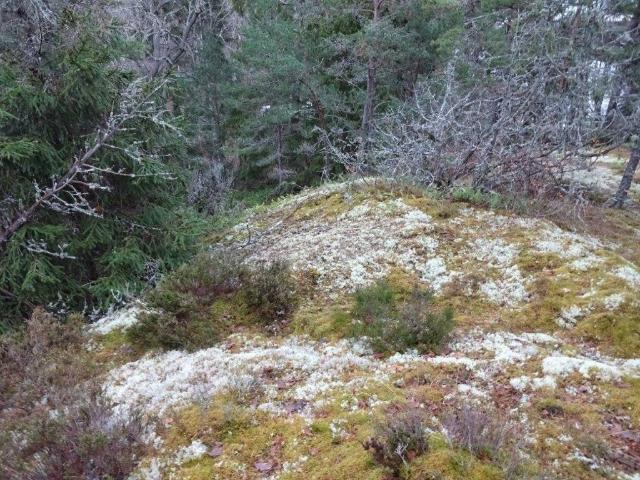 Tomt till salu i Gustavsberg, Stockholm