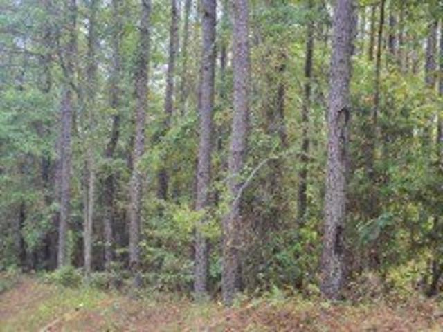 Land for sale in Gordo, Alabama