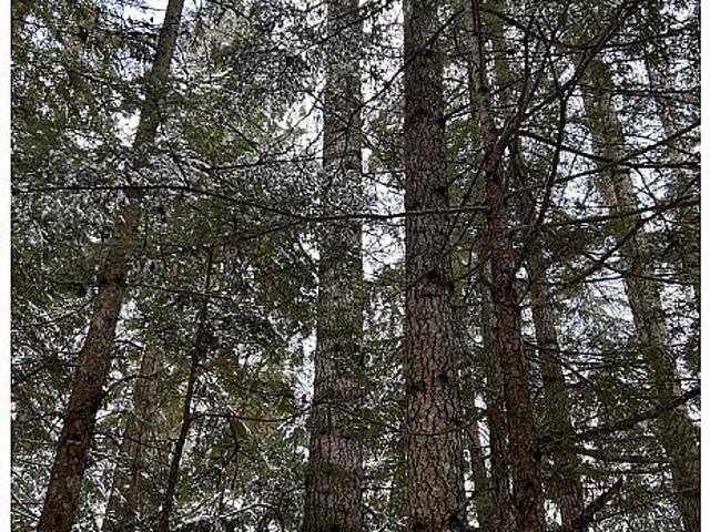 Land for sale in British Columbia
