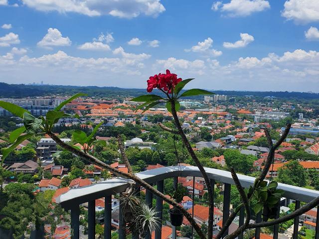 Condominium for sale in Bukit Timah