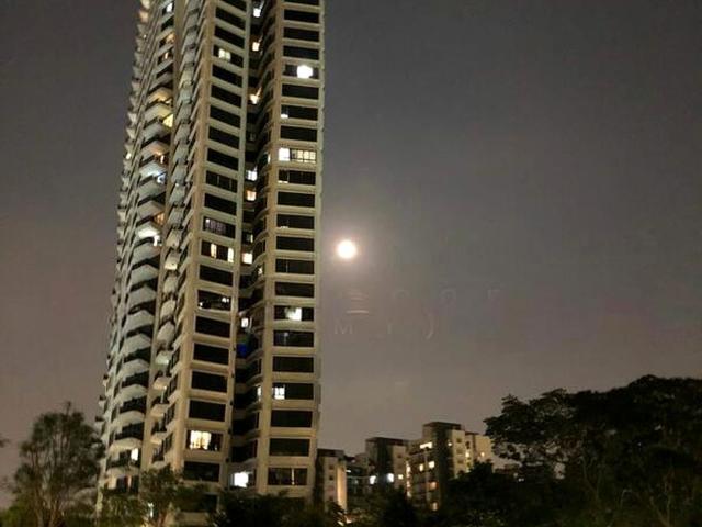 Condominium for rent in Bukit Timah