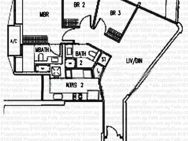 Condominium for rent in Bukit Timah