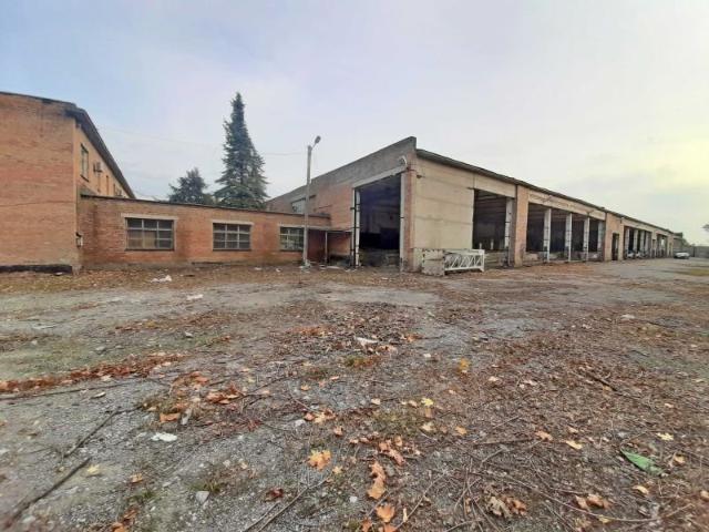 Коммерческая недвижимость продажа в Подгородном, Тернопольской области