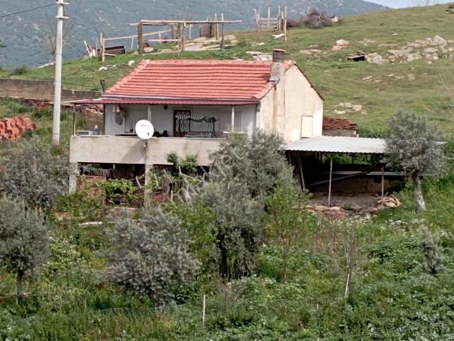Tire, İzmir içerisinde satılık Bahce kati
