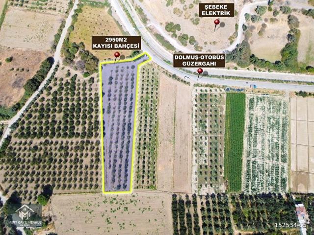 Menemen, İzmir içerisinde satılık Arsa